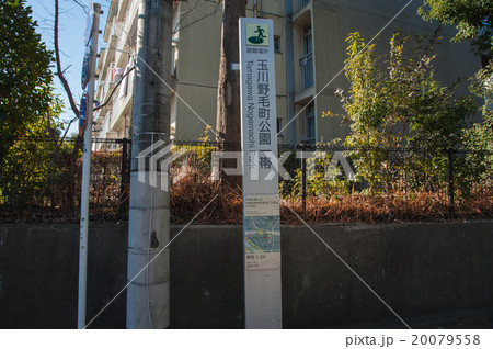 東京世田谷散歩、野毛エリア、玉川野毛町公園 20079558