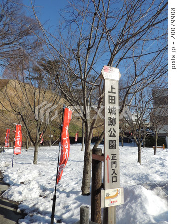 真田丸元城　冬の信州上田城(真田城) 20079908