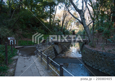 東京世田谷散歩、等々力渓谷 東京世田谷散歩、等々力渓谷 20080405