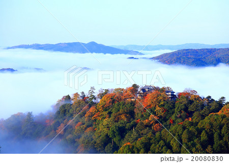 天空の城　備中松山城455 20080830
