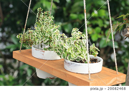 ガーデニングイメージ ガーデニングイメージ 20082468