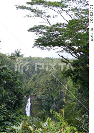 カフナ滝　ハワイ 20082571