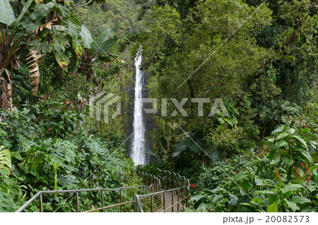 アカカ滝　ハワイ 20082573