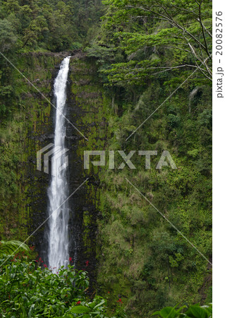 アカカ滝　ハワイ 20082576