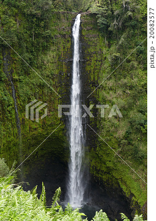 アカカ滝　ハワイ 20082577
