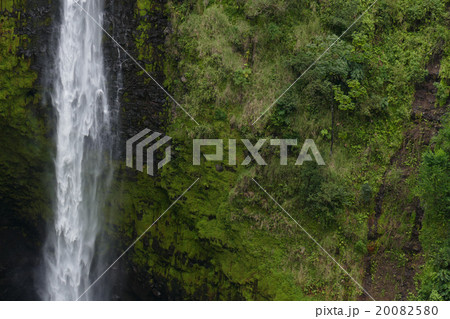 アカカ滝 ハワイ アカカ滝 ハワイ 20082580
