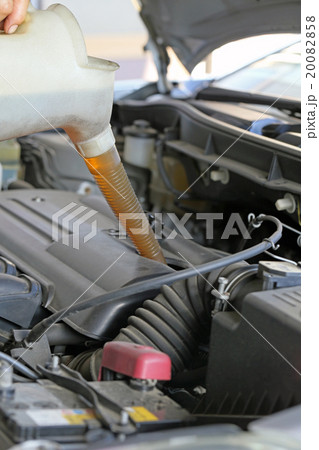 オイル交換 20082858