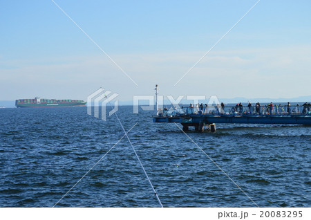 本牧埠頭海釣り公園とコンテナ船 20083295