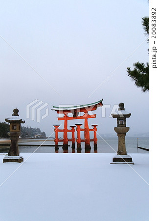 鳥居 鳥居 20083892