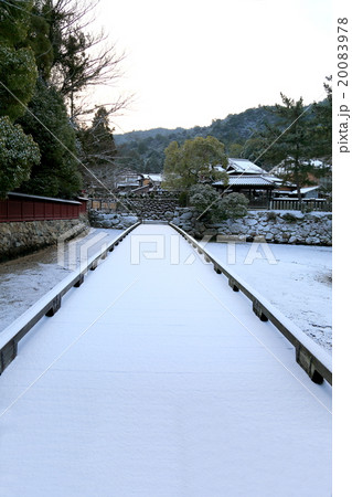 厳島神社 厳島神社 20083978