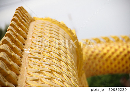 gold frill gold frill 20086229