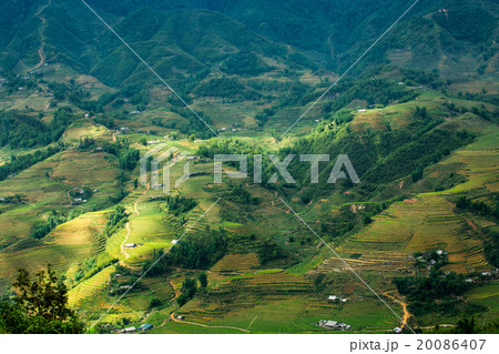 Rice Terrace 20086407