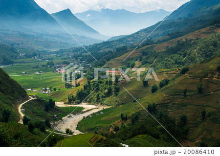 Rice field terraces at Sapa Vietnam 20086410
