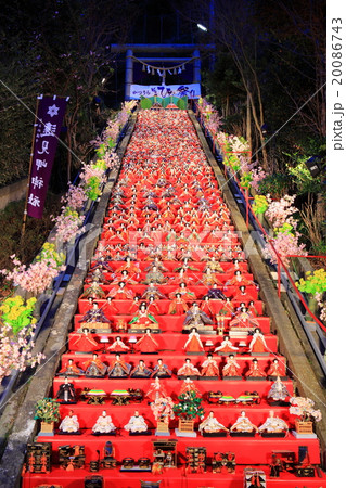 かつうらビッグひな祭り　ライトアップ 20086743