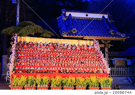 かつうらビッグひな祭り 20086744