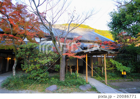 金鱗湖の周辺 金鱗湖の周辺 20086771