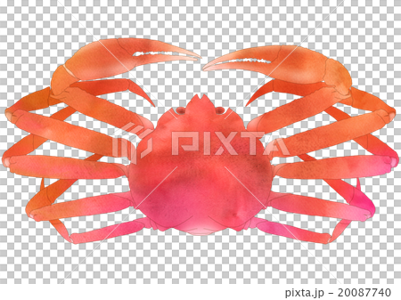 Vivid snow crab frontal (with main line) 20087740