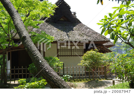 縮景園の明月亭 20087947