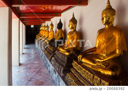 Buddhism Buddhism 20088392