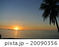 モルディブ 20090356