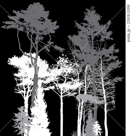 Image of Nature. Tree Silhouette. Eco banner Image of Nature. Tree Silhouette. Eco banner 20091099