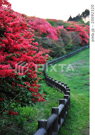 船窪つつじ公園 船窪つつじ公園 20092320