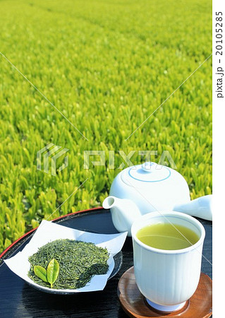日本の初夏 カテキンたっぷりの新茶 日本の初夏 カテキンたっぷりの新茶 20105285