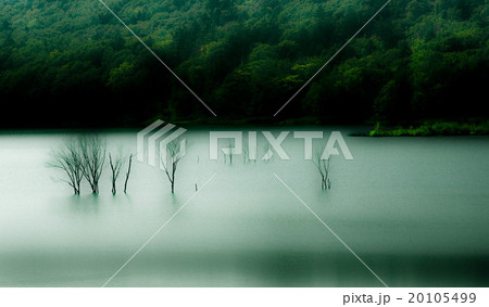 寂滅の森 寂滅の森 20105499