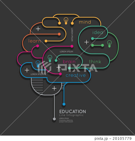 Flat linear Infographic Education Outline Brain 20105779