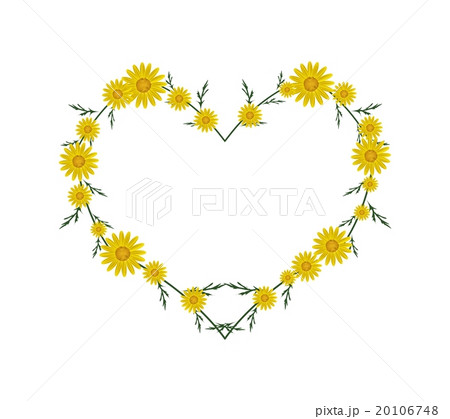 Beautiful Yellow Daisy Flowers in Heart Shape Beautiful Yellow Daisy Flowers in Heart Shape 20106748