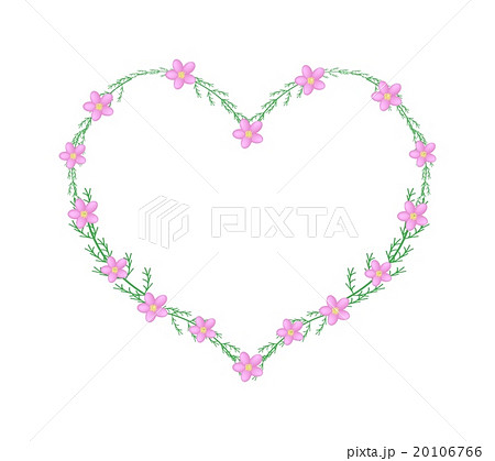 Pink Yarrow Flowers in A Heart Shape Frame Pink Yarrow Flowers in A Heart Shape Frame 20106766