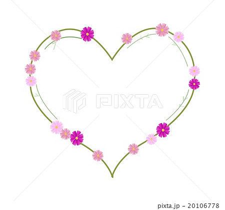 Pink Cosmos Flowers in A Heart Shape Pink Cosmos Flowers in A Heart Shape 20106778