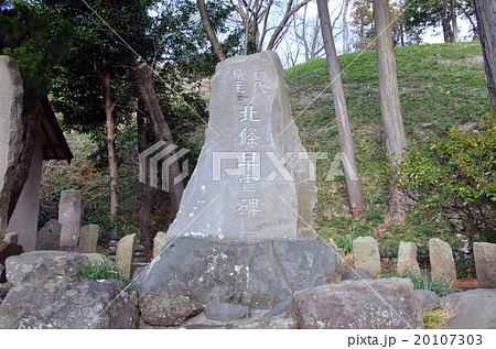 興国寺城　北条早雲石碑 20107303