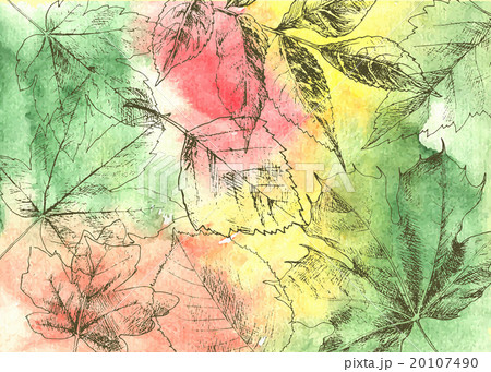 Hand drawn autumn leaves Hand drawn autumn leaves 20107490
