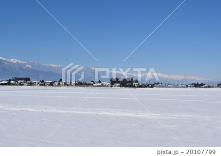 雪の田園と北アルプス 雪の田園と北アルプス 20107799