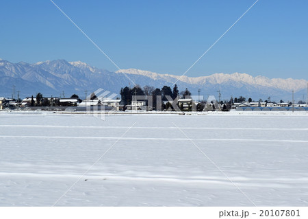 雪の田園と北アルプス 20107801
