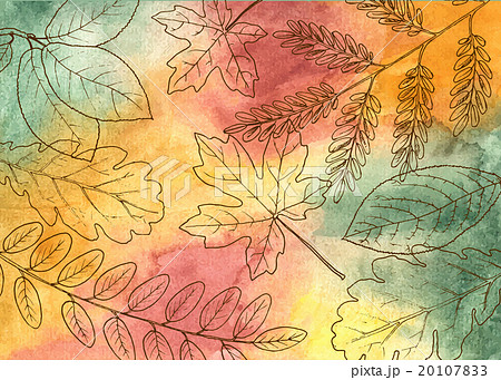 Hand drawn autumn leaves 20107833