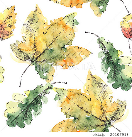 Hand drawn autumn leaves 20107913