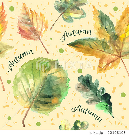 Hand drawn autumn leaves 20108103