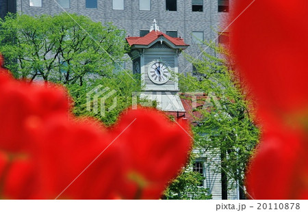 若葉の時計台 20110878
