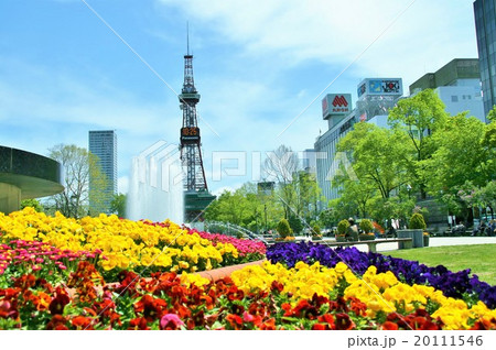 テレビ塔と大通公園 テレビ塔と大通公園 20111546
