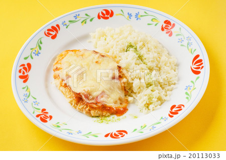 rice with cutlet 20113033