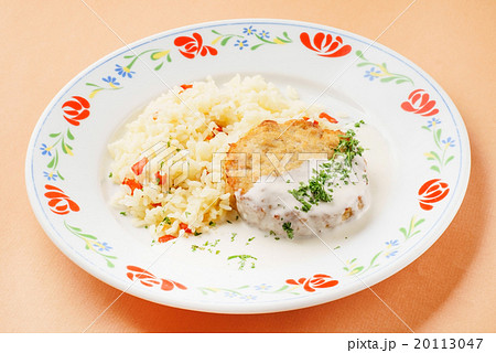 rice with cutlet 20113047