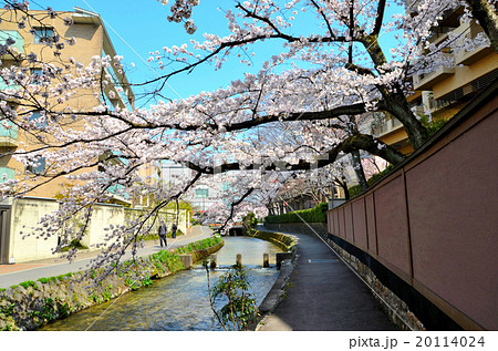 京都 岡崎 春の風景 京都 岡崎 春の風景 20114024