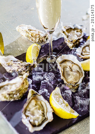 Opened Oysters Opened Oysters 20114375