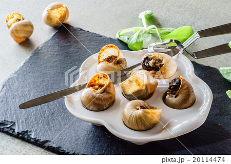 snails as gourmet food snails as gourmet food 20114474
