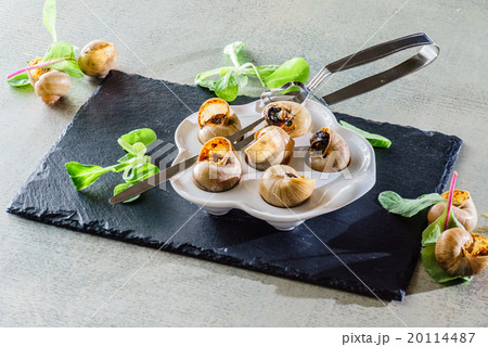 snails as gourmet food snails as gourmet food 20114487