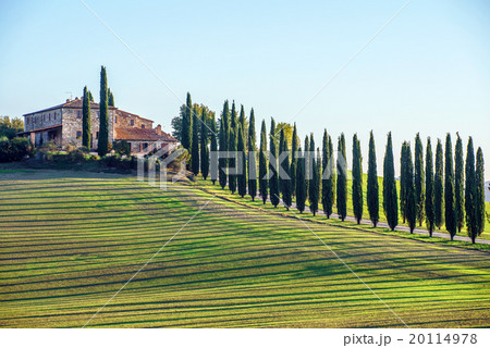 Tuscany landscape Tuscany landscape 20114978