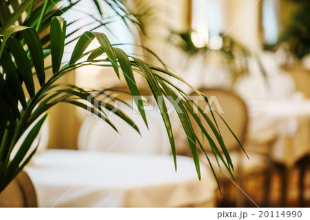 restaurant restaurant 20114990