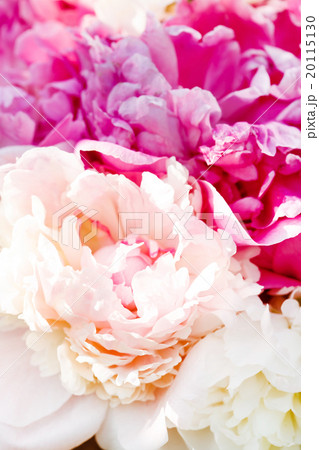 Rich bunch of peonies 20115130